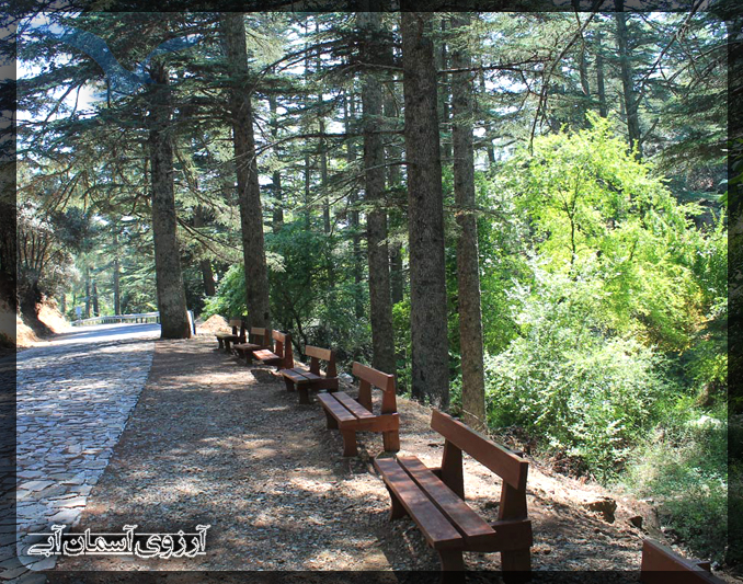 دره سرو قبرس